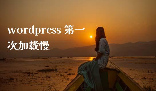 wordpress 第一次加载慢-uusu优素-乐高,模型,3d打印,编程