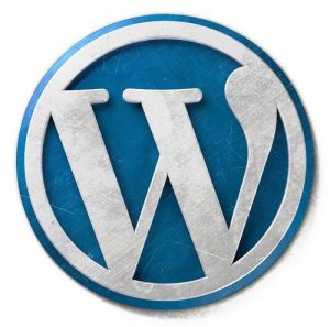 如何给WordPress添加个性标志favicon.ico图标？-uusu优素-乐高,模型,3d打印,编程