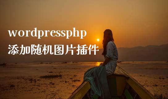 wordpressphp添加随机图片插件-uusu优素-乐高,模型,3d打印,编程