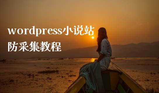 wordpress小说站防采集教程-uusu优素-乐高,模型,3d打印,编程