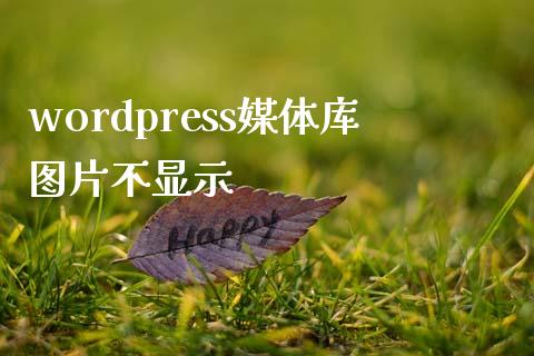 wordpress媒体库图片不显示-uusu优素-乐高,模型,3d打印,编程