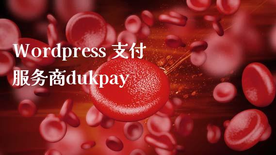 WordPress 支付服务商dukpay-uusu优素-乐高,模型,3d打印,编程