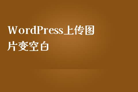 WordPress上传图片变空白-uusu优素-乐高,模型,3d打印,编程