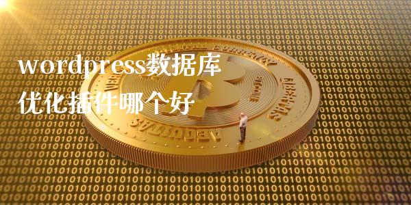 wordpress数据库优化插件哪个好-uusu优素-乐高,模型,3d打印,编程