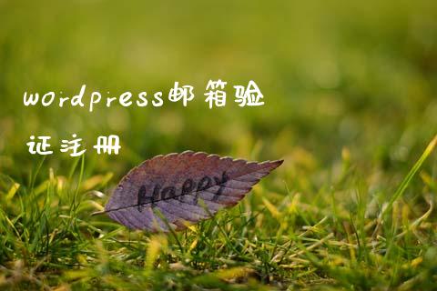 wordpress邮箱验证注册-uusu优素-乐高,模型,3d打印,编程