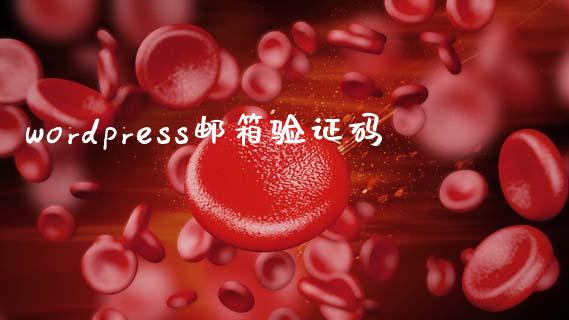 wordpress邮箱验证码-uusu优素-乐高,模型,3d打印,编程