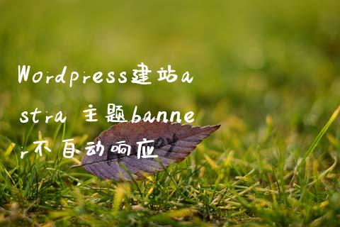 WordPress建站astra 主题banner不自动响应-uusu优素-乐高,模型,3d打印,编程