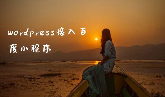 wordpress接入百度小程序-uusu优素-乐高,模型,3d打印,编程