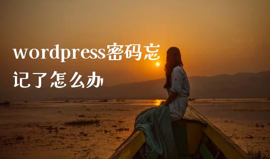 wordpress忘记了怎么办-uusu优素-乐高,模型,3d打印,编程