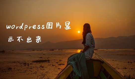 wordpress图片显示不出来-uusu优素-乐高,模型,3d打印,编程