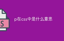 p在css中是什么意思-uusu优素-乐高,模型,3d打印,编程