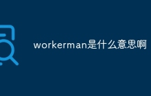 workerman是什么意思啊-uusu优素-乐高,模型,3d打印,编程