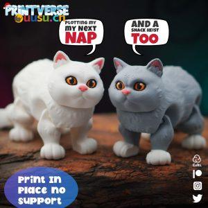 英短猫咪-uusu优素-乐高,模型,3d打印,编程