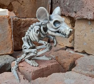 骷髅老鼠-uusu优素-乐高,模型,3d打印,编程