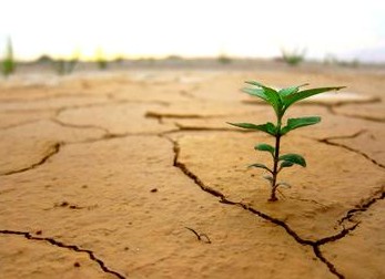 企业具备什么样的条件才能导入形象识别系统-uusu优素-乐高,模型,3d打印,编程