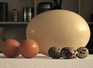 市场定位的依据-uusu优素-乐高,模型,3d打印,编程