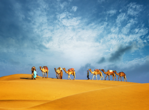 迈克尔·波特竞争战略理论的主要内容-uusu优素-乐高,模型,3d打印,编程