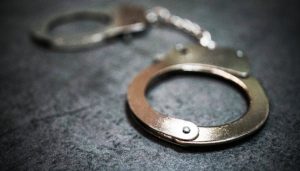 海南省委原书记罗保铭被逮捕，曾被批“长期与政治骗子不正当交往”-uusu优素-乐高,模型,3d打印,编程