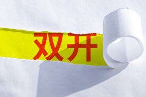 上交所原副总经理董国群被“双开”:长期借用多人证券账户炒股 腐败行为贯穿整个职业生涯-uusu优素-乐高,模型,3d打印,编程
