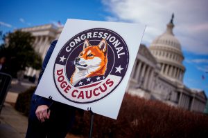 淡化马斯克角色，白宫确认政府效率部主管是她-uusu优素-乐高,模型,3d打印,编程