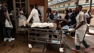 儿童吃蝙蝠引发疫情，刚果(金)“怪病”已致60人死亡-uusu优素-乐高,模型,3d打印,编程