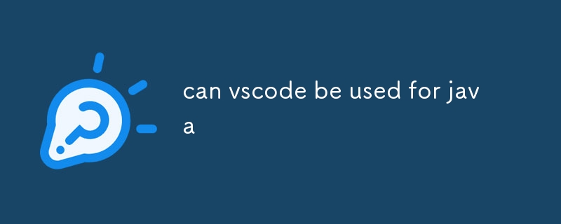 can vscode be used for java-uusu优素-乐高,模型,3d打印,编程