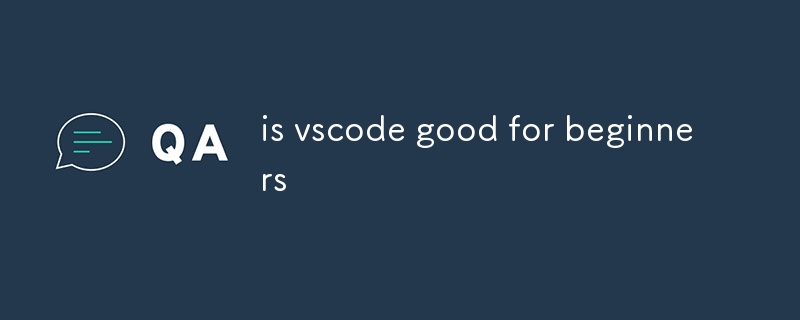 is vscode good for beginners-uusu优素-乐高,模型,3d打印,编程
