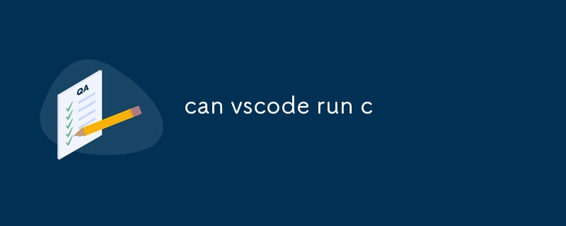 can vscode run c-uusu优素-乐高,模型,3d打印,编程