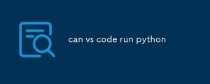 can vs code run python-uusu优素-乐高,模型,3d打印,编程