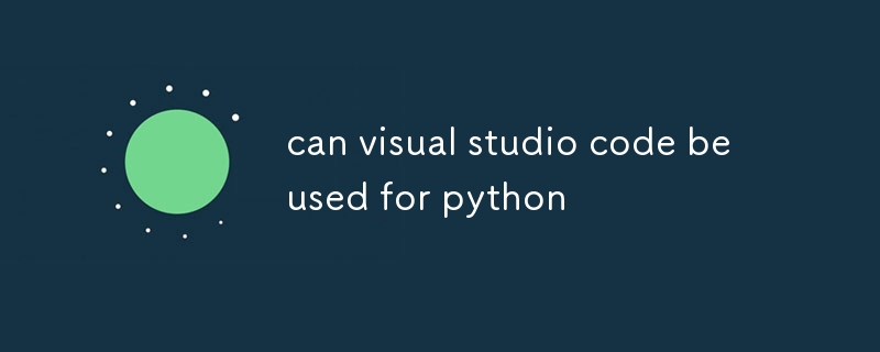 can visual studio code be used for python-uusu优素-乐高,模型,3d打印,编程