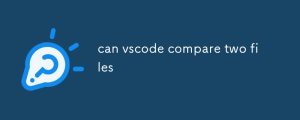 can vscode compare two files-uusu优素-乐高,模型,3d打印,编程