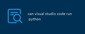 can visual studio code run python-uusu优素-乐高,模型,3d打印,编程