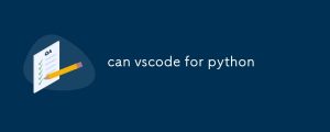 can vscode for python-uusu优素-乐高,模型,3d打印,编程