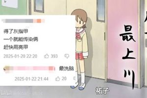 继日本人学习伪中国语之后,国内网友开始用