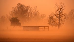 中央气象台升级发布沙尘暴黄色预警，北方13省份将有扬沙或浮尘-uusu优素-乐高,模型,3d打印,编程