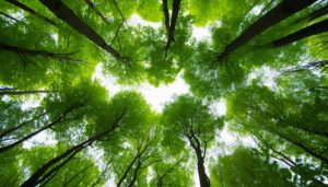 直通部委 | 去年中国完成国土绿化任务767万公顷 商务部等部门约谈沃尔玛-uusu优素-乐高,模型,3d打印,编程