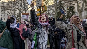 美国副总统警告，有需要时学生签证和绿卡持有者也会被驱逐-uusu优素-乐高,模型,3d打印,编程