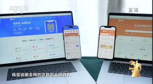 315晚会曝光“电子签”高利贷乱象，年化利率最高达5959.18%，涉事公司涉及百余起借贷纠纷｜3·15特别报道-uusu优素-乐高,模型,3d打印,编程