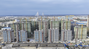 价格1字头，全现房，广州成为国内第一个推出配售型保障房的一线城市-uusu优素-乐高,模型,3d打印,编程