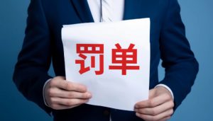 首张！因股东股权管理不到位，厦门金租被罚240万-uusu优素-乐高,模型,3d打印,编程