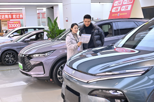 商务部正指导各地开展汽车流通消费改革试点申报，成熟一批、启动一批-uusu优素-乐高,模型,3d打印,编程