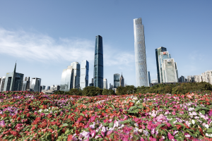 广东2024年常住人口增量、出生人口均居全国首位-uusu优素-乐高,模型,3d打印,编程