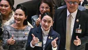 泰国总理佩通坦挺过不信任动议投票，反对党指控其父他信“摄政”-uusu优素-乐高,模型,3d打印,编程