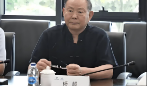 退休14年后落马，中国人寿保险集团公司原党委书记、总裁杨超被查-uusu优素-乐高,模型,3d打印,编程
