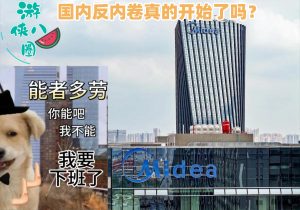 美的、大疆被曝强制下班 国内反内卷真的开始了吗？-uusu优素-乐高,模型,3d打印,编程