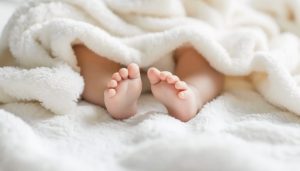 东北两省去年人口变化趋同：常住人口减少，出生人口增加-uusu优素-乐高,模型,3d打印,编程