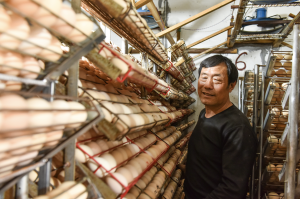 3月蛋价持续低迷，分析师预计二季度或跌至年内低点-uusu优素-乐高,模型,3d打印,编程