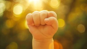 贵阳去年常住人口增量暂居全国第一，连续4年增加超10万人-uusu优素-乐高,模型,3d打印,编程