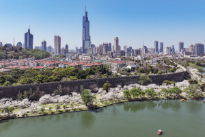 全国首个！江苏出台城市全域数字化转型方案-uusu优素-乐高,模型,3d打印,编程