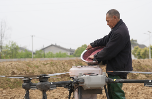 中共中央、国务院发文，推动种业自主创新全面突破、拓宽农民增收渠道-uusu优素-乐高,模型,3d打印,编程